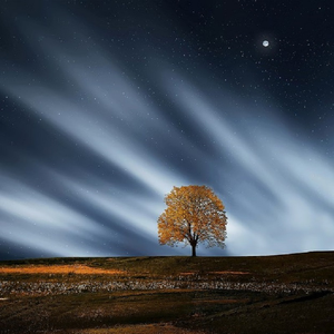 宝贝欠C了总裁太猛了H
